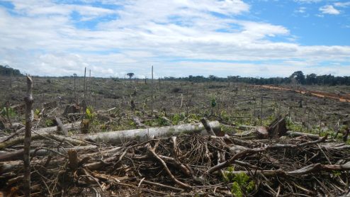 A devastated deforested landscape